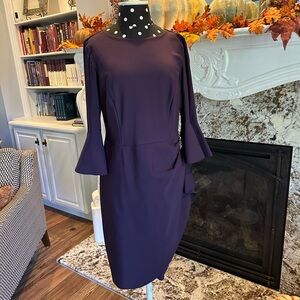 Alex Evenings Plum colored dress - knee length